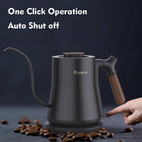 Green Man Coffee Stainless Gooseneck Kettle